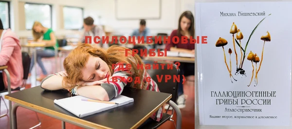 гидра Ступино