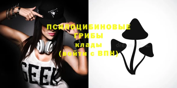 МДПВ Верхний Тагил