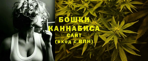 молекула духа Бородино
