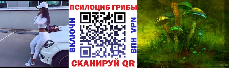 Галлюциногенные грибы MAGIC MUSHROOMS  Можайск 